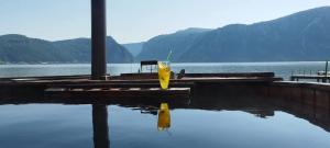 a dock with a yellow object in the water at Casa David Andrei Dubova in Dubova +24 photos