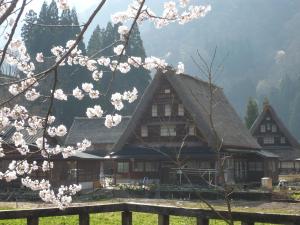 a log cabin with pink cherry blossoms in front of it at Gokayama Onsen Akaokan in Nanto