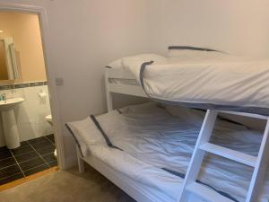 a bunk bed in a small room with a bathroom at Howth Village Apartment 2 in Dublin