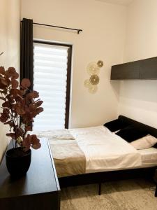 Un dormitorio con una cama y una mesa con una planta en Apartament P52 Wrocław, en Wroclaw 8 fotos más