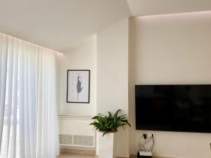 a living room with a flat screen tv and a plant at Lovely Rooftop Apartment in Golem