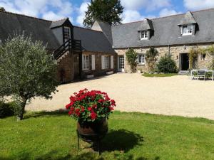 a house with a flower pot in the yard at PhilVik in Lannion