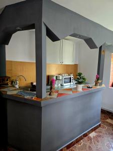 a kitchen with a counter with a sink and a microwave at Casa Roxana in Vişeu de Mijloc