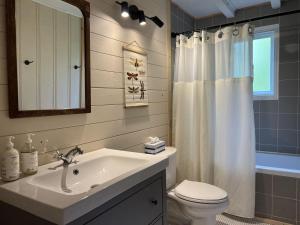 um banheiro com uma pia, um vaso sanitário e um espelho em Chalets Village Suisse de Val-David em Val-David