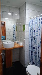 a bathroom with a sink and a toilet and a shower at Hostal Villarrica Centro in Villarrica +6 photos
