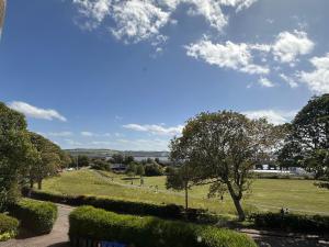 Una vista de un parque con un árbol y un camino. en The Royal Tay Apartment, en Dundee