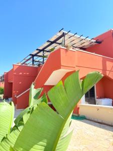 a large green plant in front of a building at Villaelena Salento Mare in Marittima