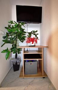 a desk with a television and a potted plant at Apartments Vretenar in Novigrad Istria