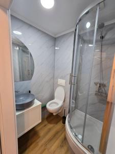 韦莱涅Delux apartment ARSO的带淋浴、马桶和水槽的浴室
