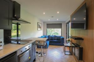 a kitchen and living room with a blue couch at River Logie Lodges in Westfield