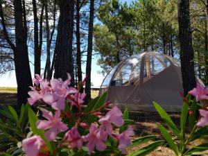 Κήπος έξω από το Camping Hello Soleil