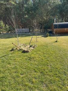 Zahrada ubytování Domki trzy jeziora z zewnętrznym SPA - sauna, balia do schładzania i jacuzzi + 33 fotografií