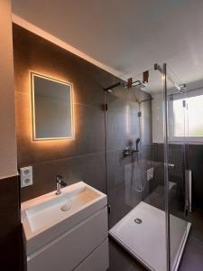 a bathroom with a sink and a shower with a mirror at Deluxe Apartment in Jettingen-Scheppach