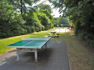 Stolní tenis v ubytování Vakantiehuis Ruby nebo okolí