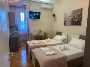 TV a/nebo společenská místnost v ubytování Hotel Osmani