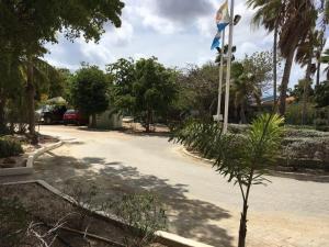 a street with a flag and a palm tree at Aqua Marina in Kralendijk
