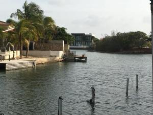 a body of water with a bird in the water at Aqua Marina in Kralendijk
