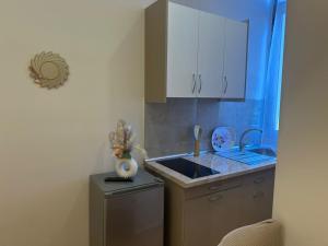 Kuchyň nebo kuchyňský kout v ubytování Hotel Osmani