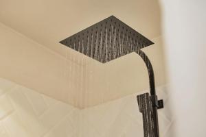 een douchekop in de badkamer met een douchegordijn bij Apartment Turtle at Windsock Beach in Kralendijk