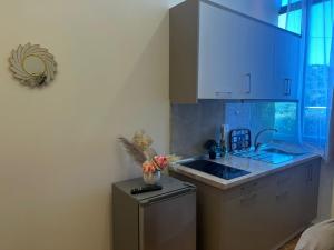 Kuchyň nebo kuchyňský kout v ubytování Hotel Osmani