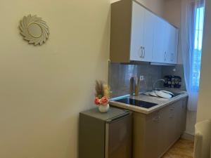 Kuchyň nebo kuchyňský kout v ubytování Hotel Osmani