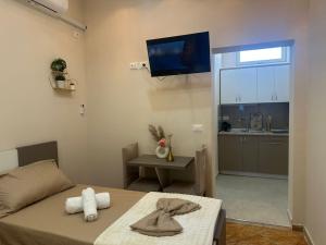 TV a/nebo společenská místnost v ubytování Hotel Osmani