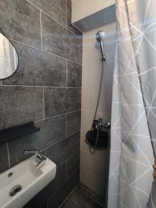 a bathroom with a sink and a shower at Compact Apartments for Solo Travelers in Igalo