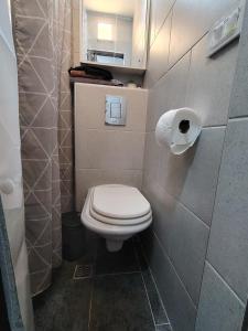 a bathroom with a toilet and a roll of toilet paper at Compact Apartments for Solo Travelers in Igalo +2 photos