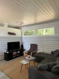 Χώρος καθιστικού στο Saimaa lake cottage +23 φωτογραφίες