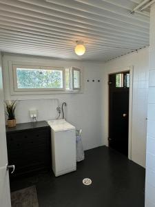 Ένα μπάνιο στο Saimaa lake cottage