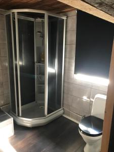 a bathroom with a shower and a toilet at VitaNorse AB in Älglund