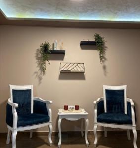 パンチェヴォにあるJacuzzi Apartman PK Pančevoの部屋に椅子2脚とテーブル1台