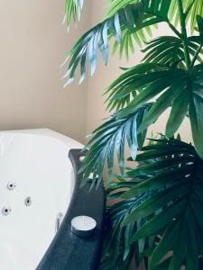 a green plant sitting next to a black bed at Jacuzzi Apartman PK Pančevo in Pančevo +17 photos