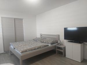 a bedroom with a bed and a flat screen tv at Cyklostatek Magda in Střížovice