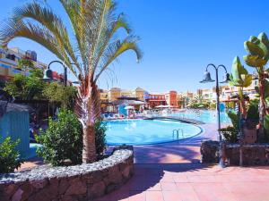 a palm tree by a swimming pool in a resort at Casa De Nola - Poolside Apartment With Large Terrace in Playa de las Americas +18 photos