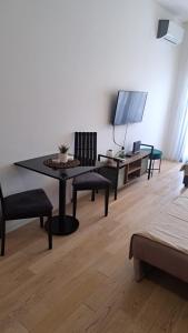 Televiisor ja/või meelelahutuskeskus majutusasutuses Studio apartment