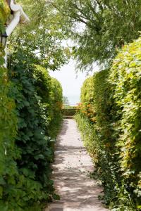 Сад в La Dolce Vita Resort