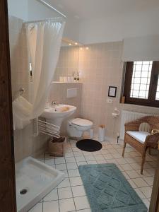 梅佐拉戈Ledro Casa Pino al Lago mit direktem Seezugang的带水槽和马桶的浴室