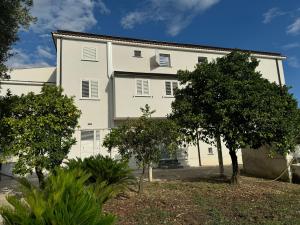 a white building with trees in front of it at Casa Marina in Villammare