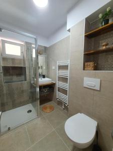 a bathroom with a shower and a toilet and a sink at BicazApart in Bicaz
