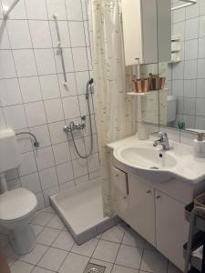 Ένα μπάνιο στο Domattina apartments Vlašići, Pag +39 φωτογραφίες