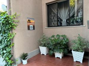Zahrada ubytování B&B Lary