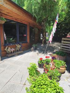 un patio avec des plantes en pot et un bâtiment avec un drapeau dans l'établissement Quirky&Old Cottage for Families, à Colyford