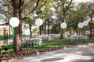 a group of white balloons hanging from a tree at The Skittles Unit in Austin