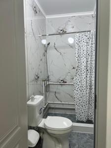 a white bathroom with a toilet and a shower at Luxe Hotel in Kazarman