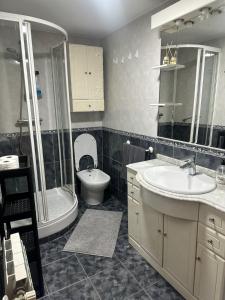 a bathroom with a sink and a shower and a toilet at Plaza Guest House in Madrid