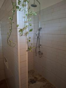 Gallery image of Chez pierre in Sainte-Rose