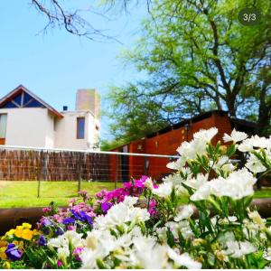 Κήπος έξω από το Cabañas Villa las Lomas