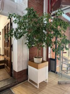 Gambar di galeri bagi Balticus House di Gdańsk +57 gambar