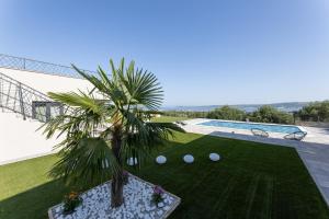 a palm tree in a planter next to a swimming pool at Villa Bijaći in Kastel Novi